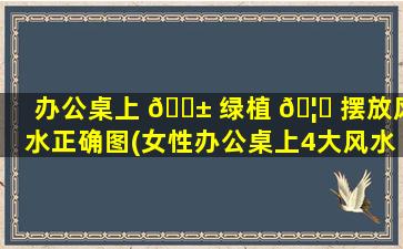 办公桌上 🐱 绿植 🦊 摆放风水正确图(女性办公桌上4大风水禁忌)